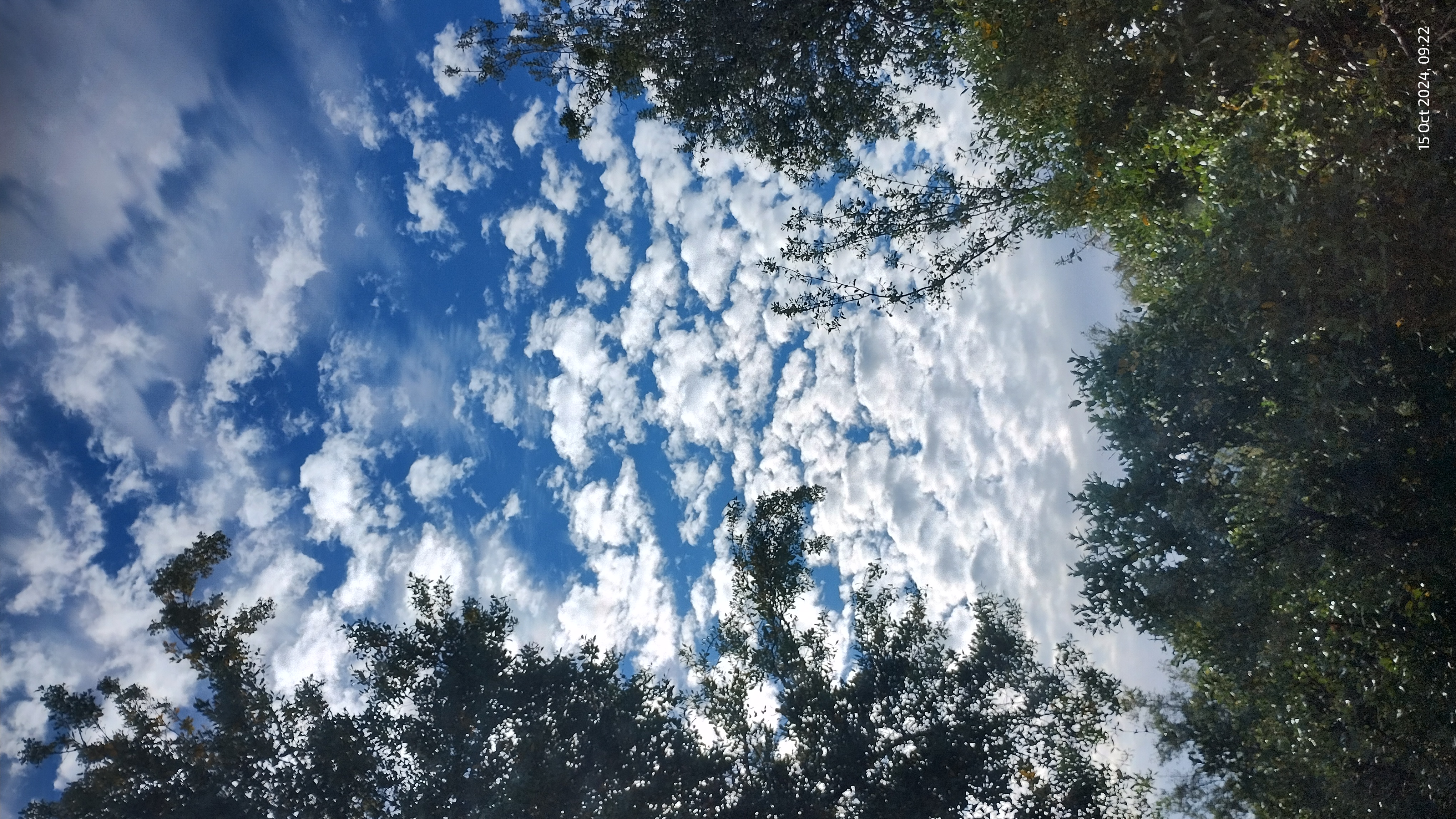 Nature Photo 1