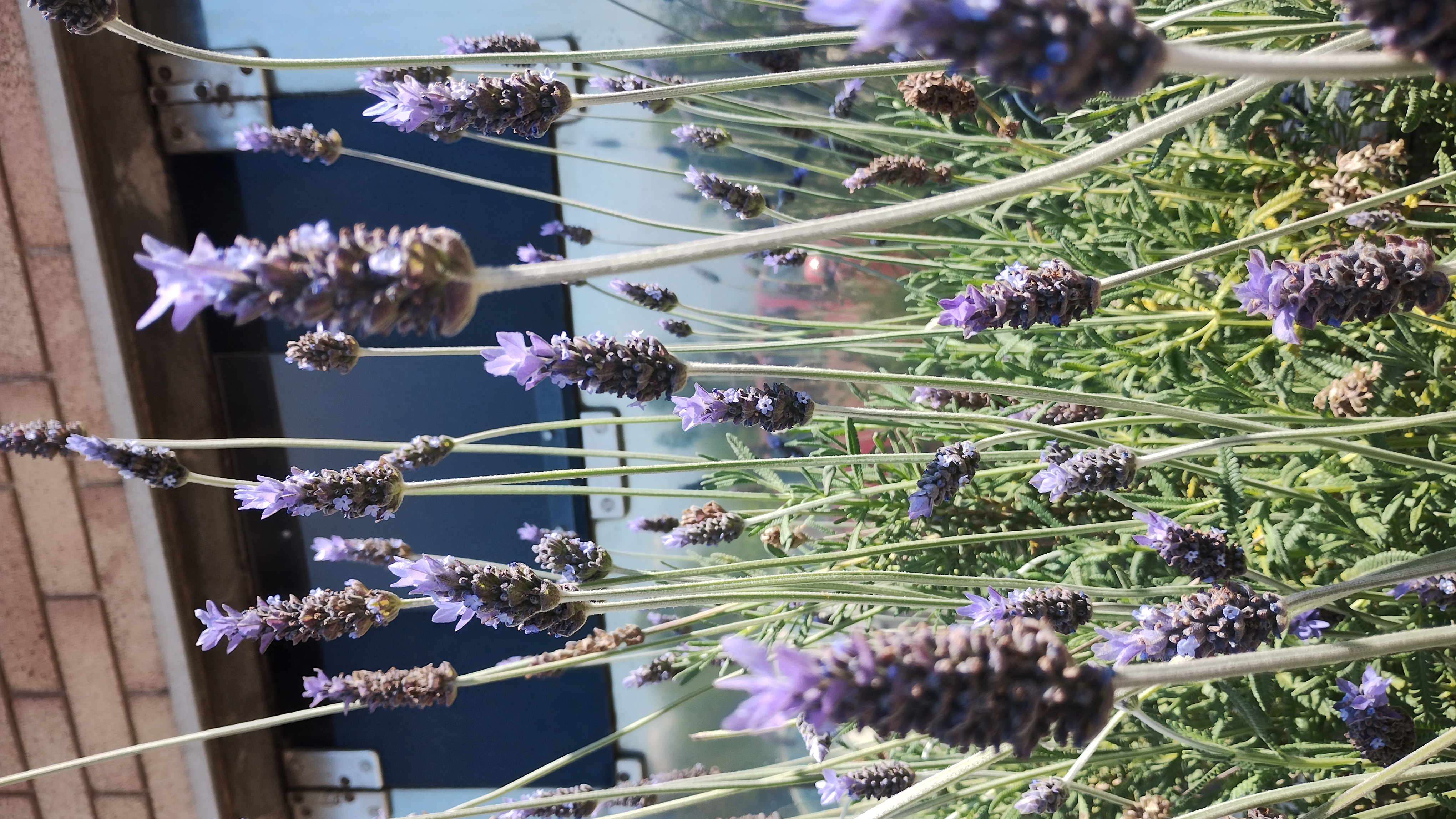 Architecture photo 3